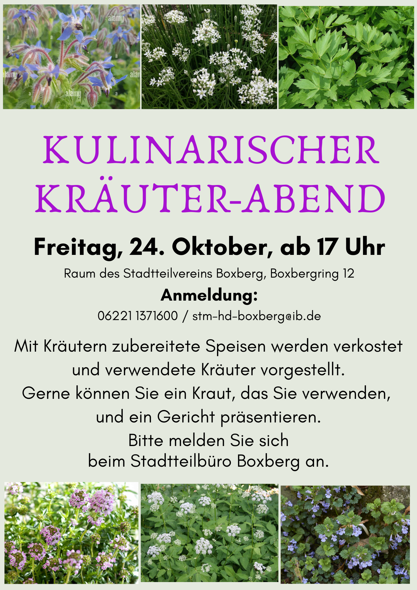 Keine Bildbeschreibung verfügbar